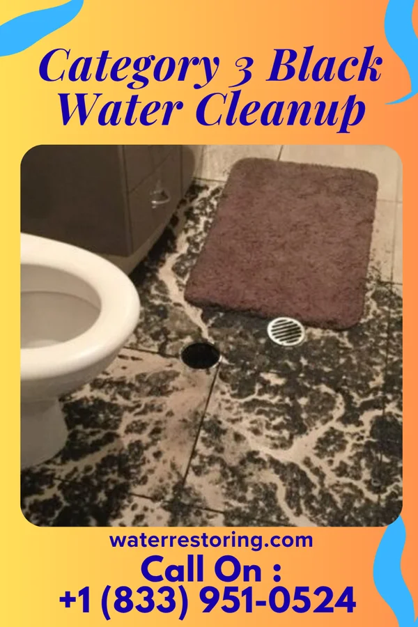 Category 3 Black Water Cleanup in Seminole, TX