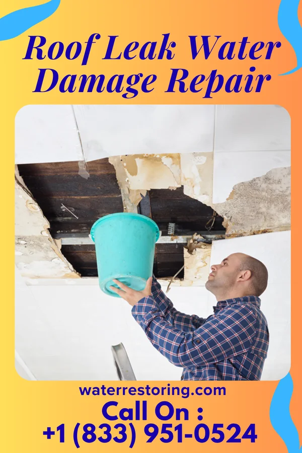 Roof Leak Water Damage Repair in Seminole, TX